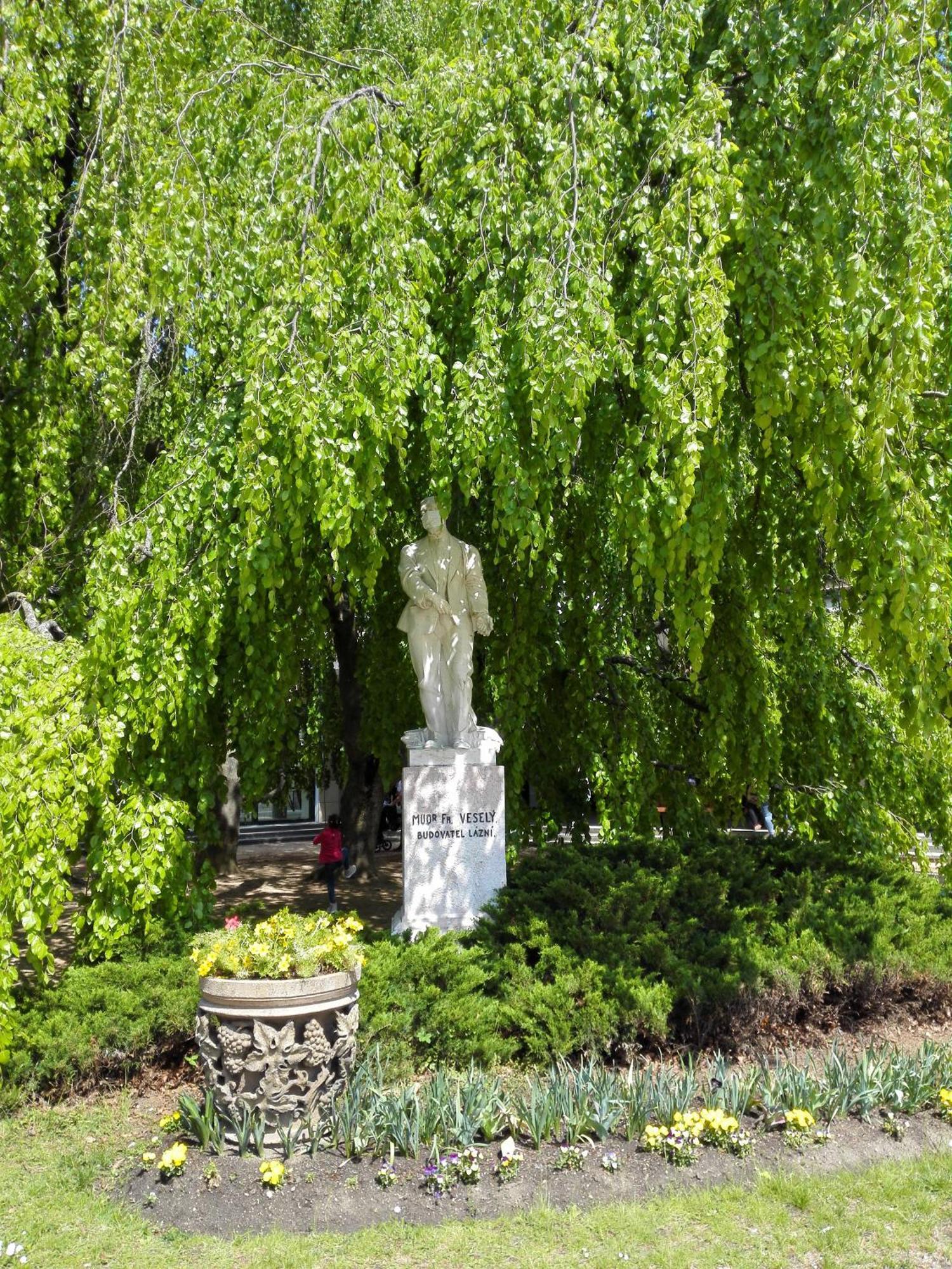 Apartmany Luhacovice *